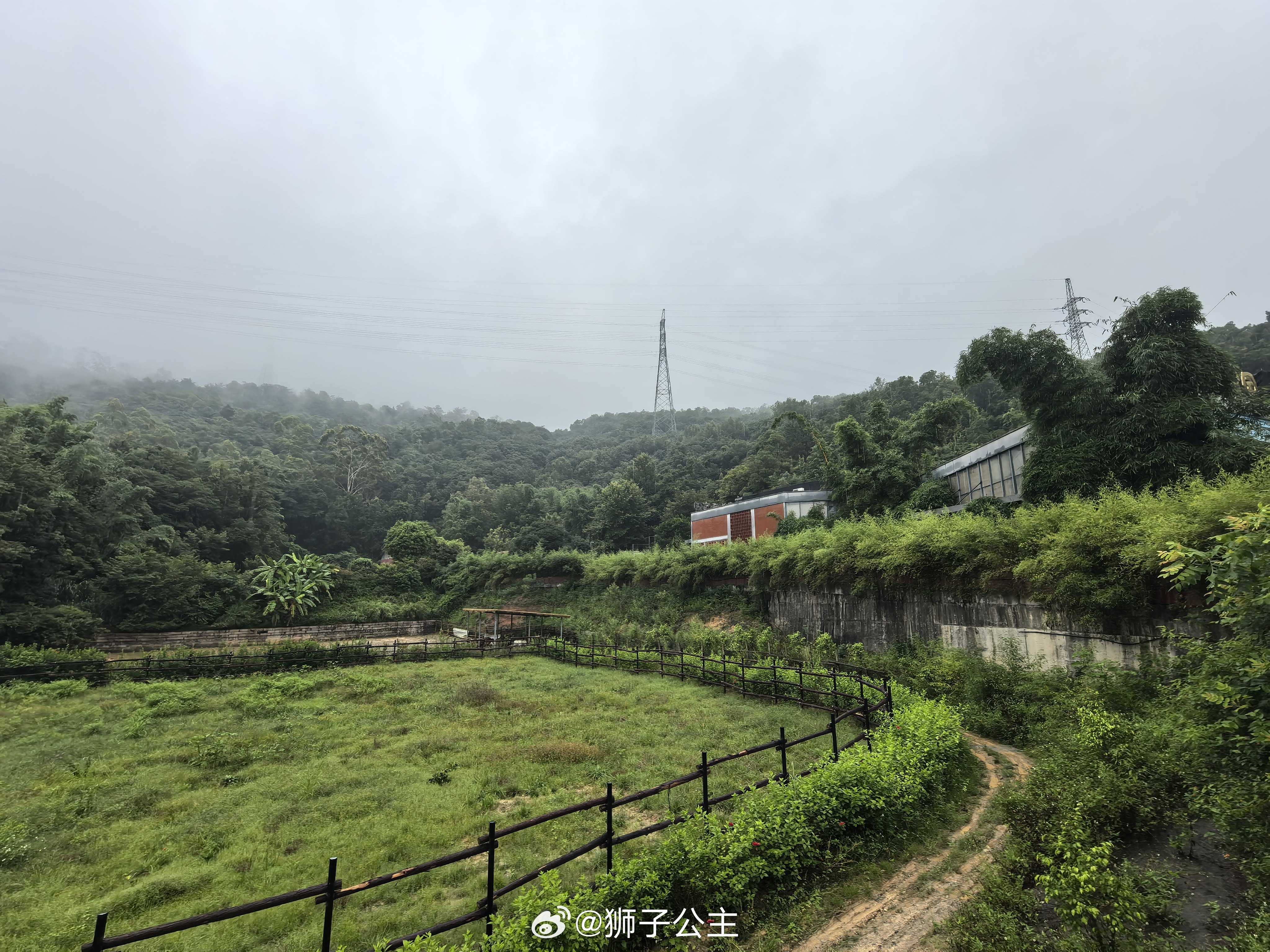 凡猫修仙传大熊猫星语
