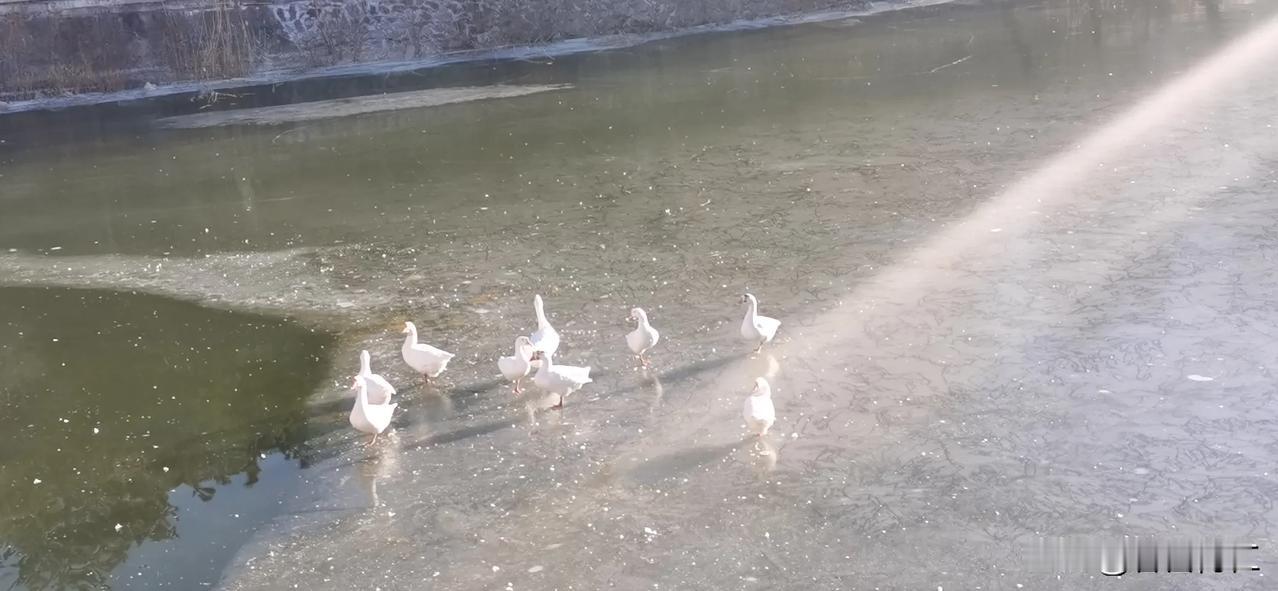 东升传媒在路上