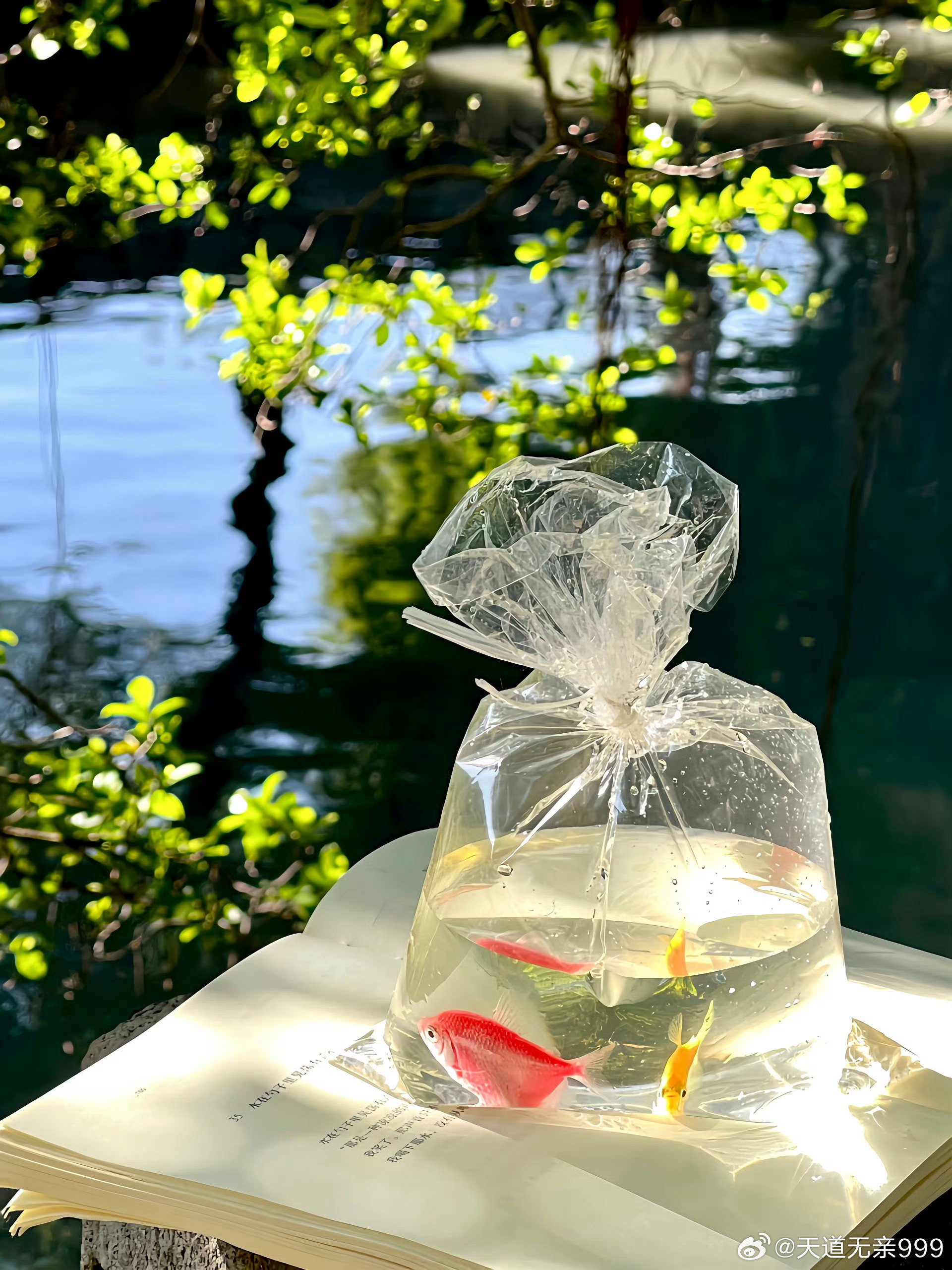 “我是谁？”，“我从哪里来？”，“生命是什么？”，“宇宙是什么形成的？”。人类的