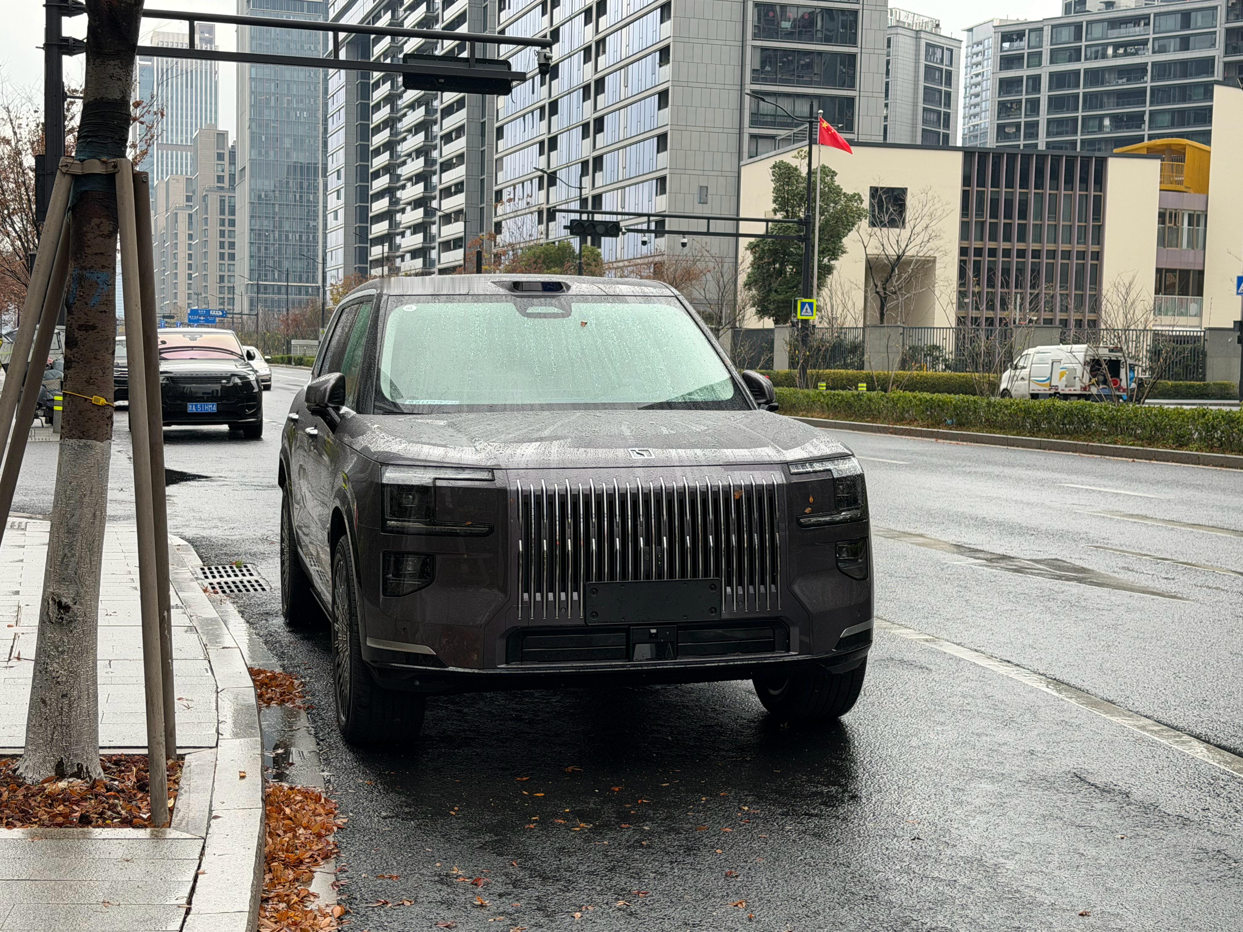 紫色💜的9X，有一种独特的气质，在这个烟雨朦胧的2026年第一天极氪9x