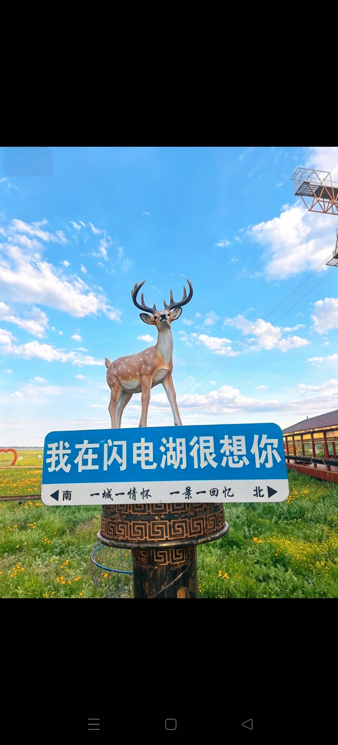 北京出发4h，我闯入了26℃的“有风草原”