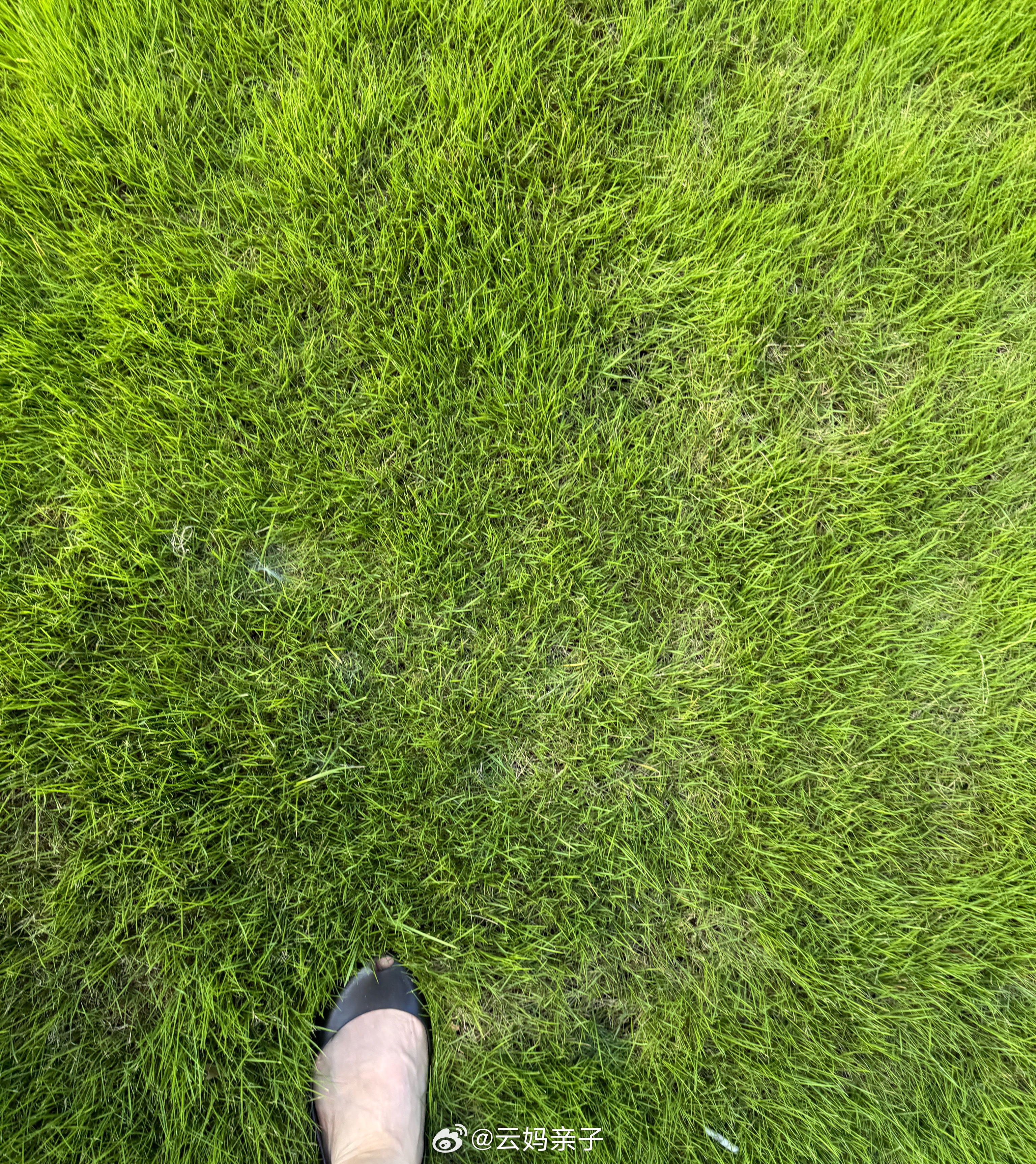 七点多出门送娃，八点多回到小区，找不到车位。。。周末都这么宅的吗[允悲][允悲]