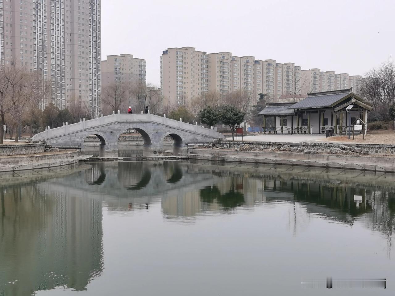 治愈不开心 拿起手机人人都是摄影师 2月20日，初春之际，洛阳市孟津区的河图公园