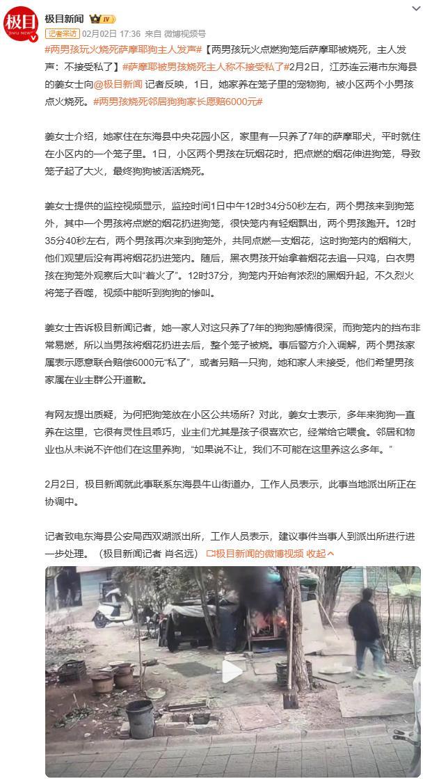 萨摩耶被男孩烧死主人称不接受私了监控显示黑衣男孩曾追烧鸡群、二次返回狗笼观望，折