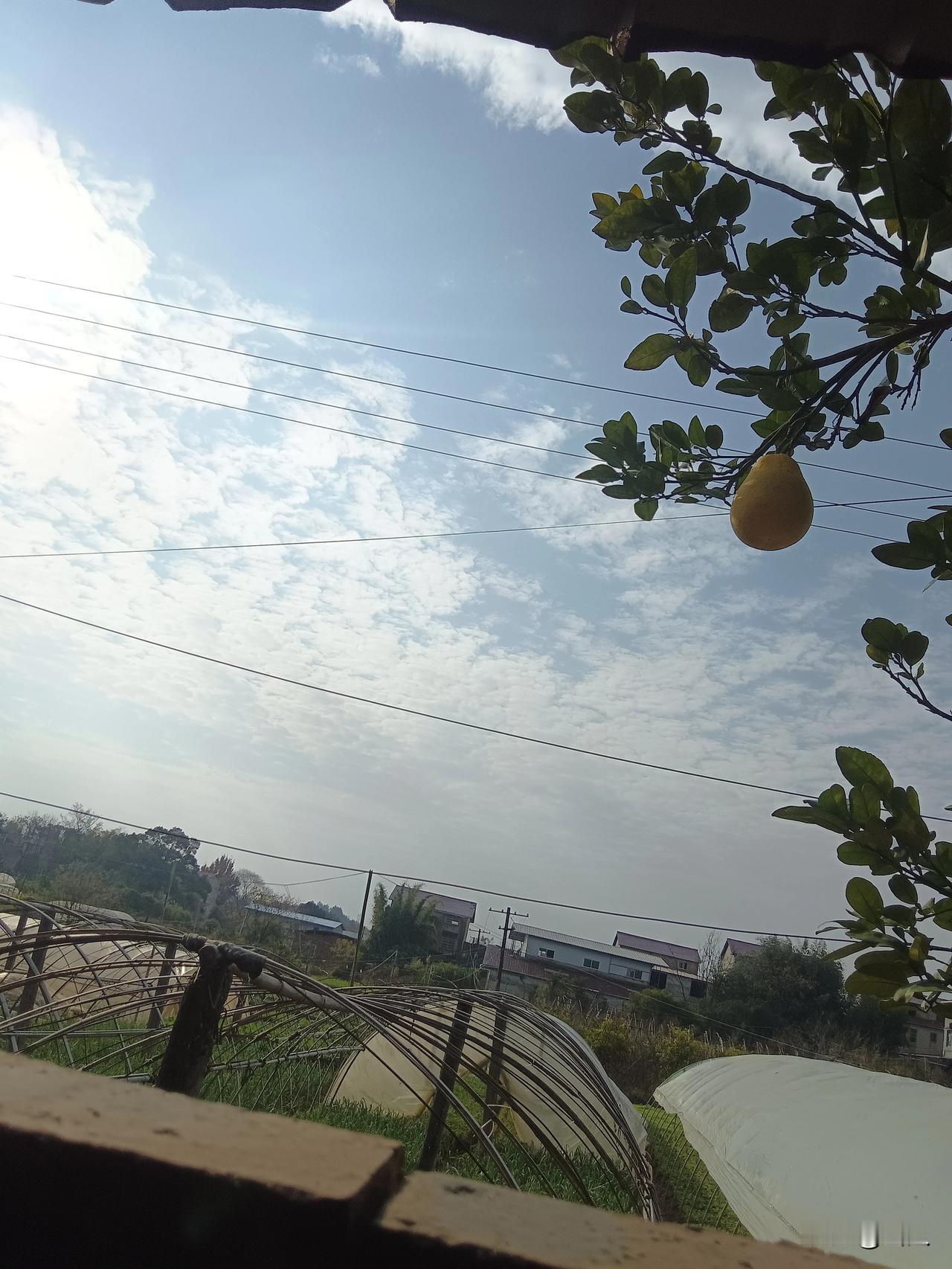 首先，“肉宝王”并非洪水猛兽，其使用在餐饮行业早是公开的常态。这款含麦芽糊精、食