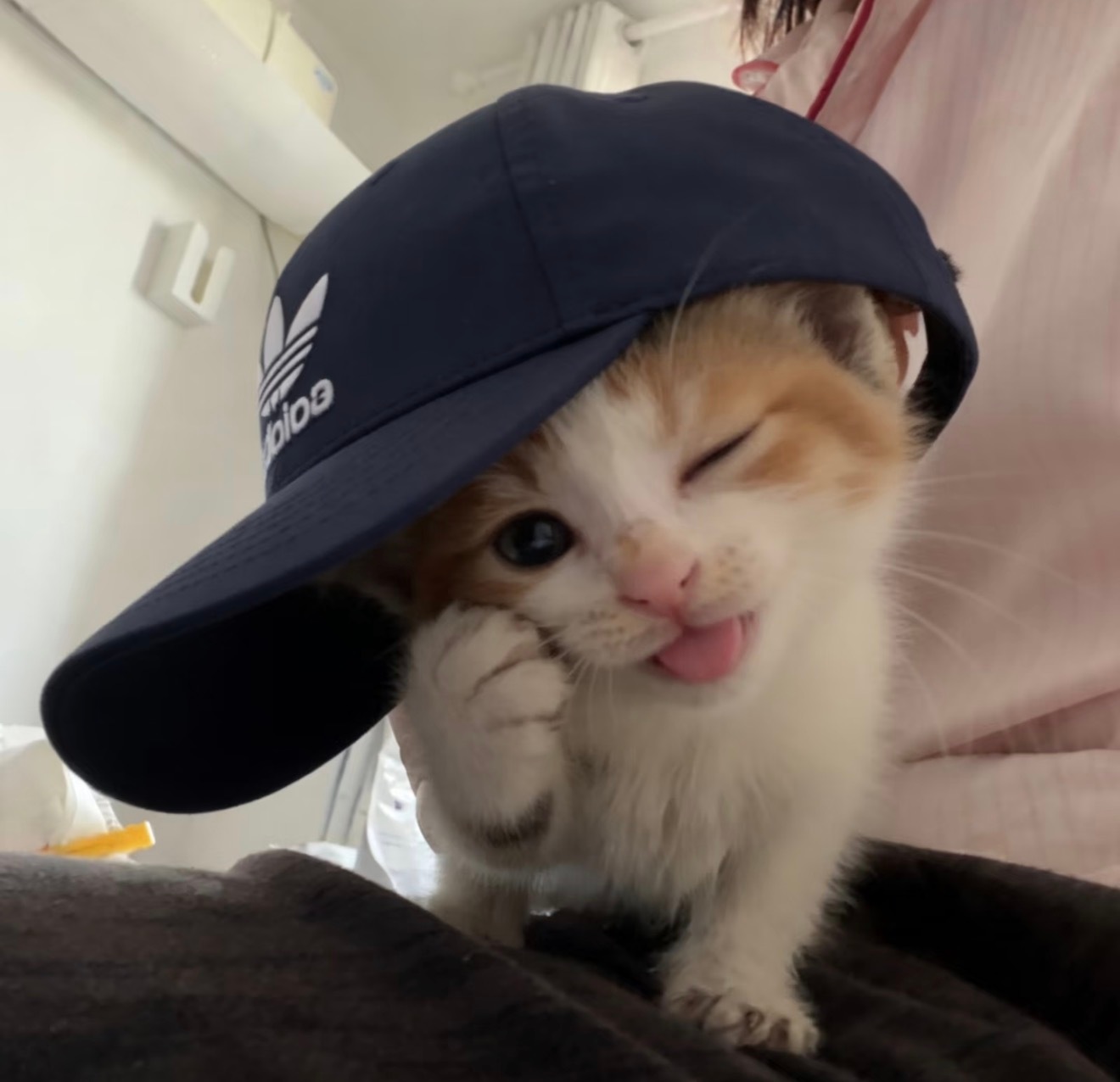复刻 ​​​