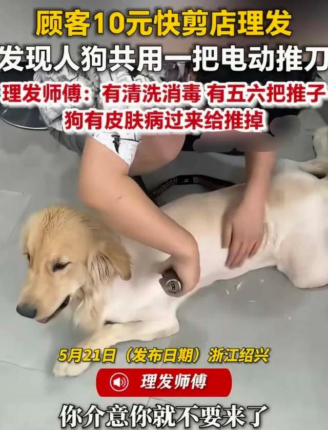 人到了中年再看诸暨这家快剪店的事，
蕞大的讽刺，
是你省吃俭用想图个实惠，
人家