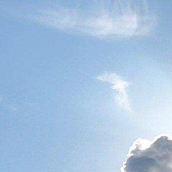 阳光信用阳光信用🌞 每日一善 慈心为民，善举济世。 无缘大慈，同体大悲。 众善