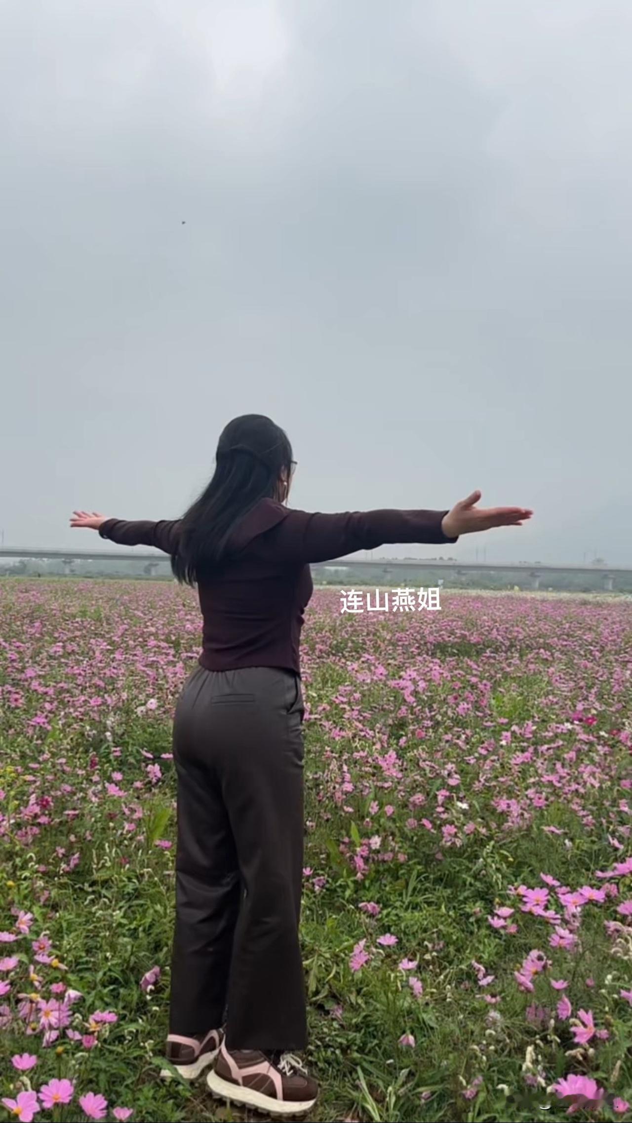 这是清远的一个某花海，我本想过去看看玩玩，因为之前都是免费的，年后变成要收费门票