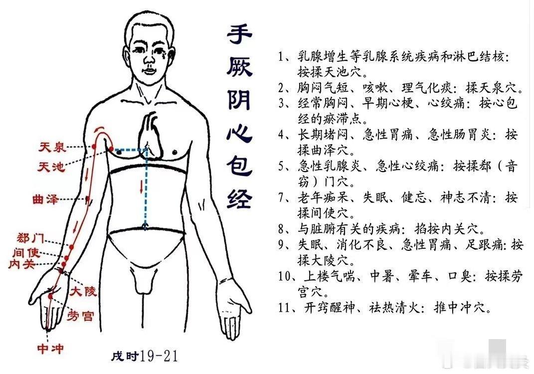  手阙阴心包经  戌时（19——21时）中医认为心包有“代心受邪”之责。厥阴经出