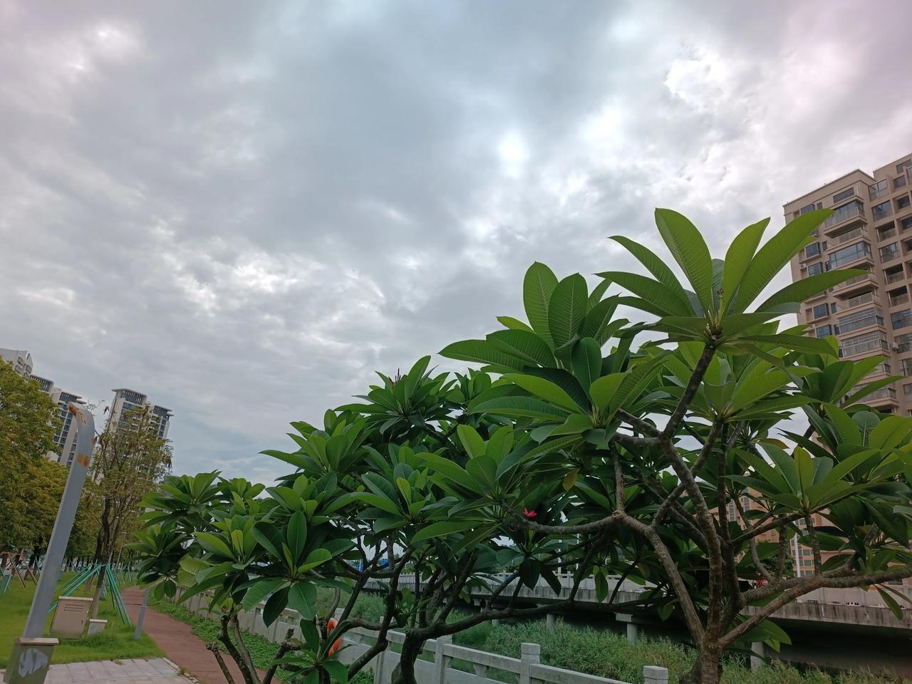 忙里偷闲
散散步，减减压
锻炼锻炼身体
看看大自然的美
心情豁然开朗
哈哈，上午