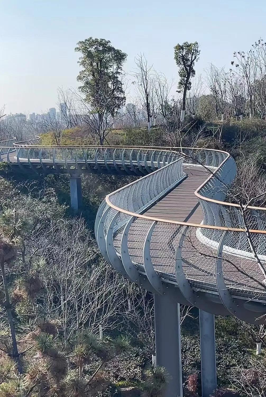 邂逅赤山公园，解锁城市里的绿野仙踪
踏入赤山公园，仿佛踏入了一个被岁月遗忘的世外