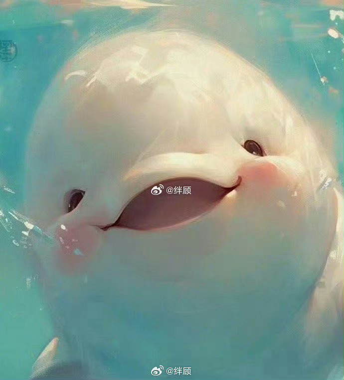 你期待的好消息正在向你靠近 。 