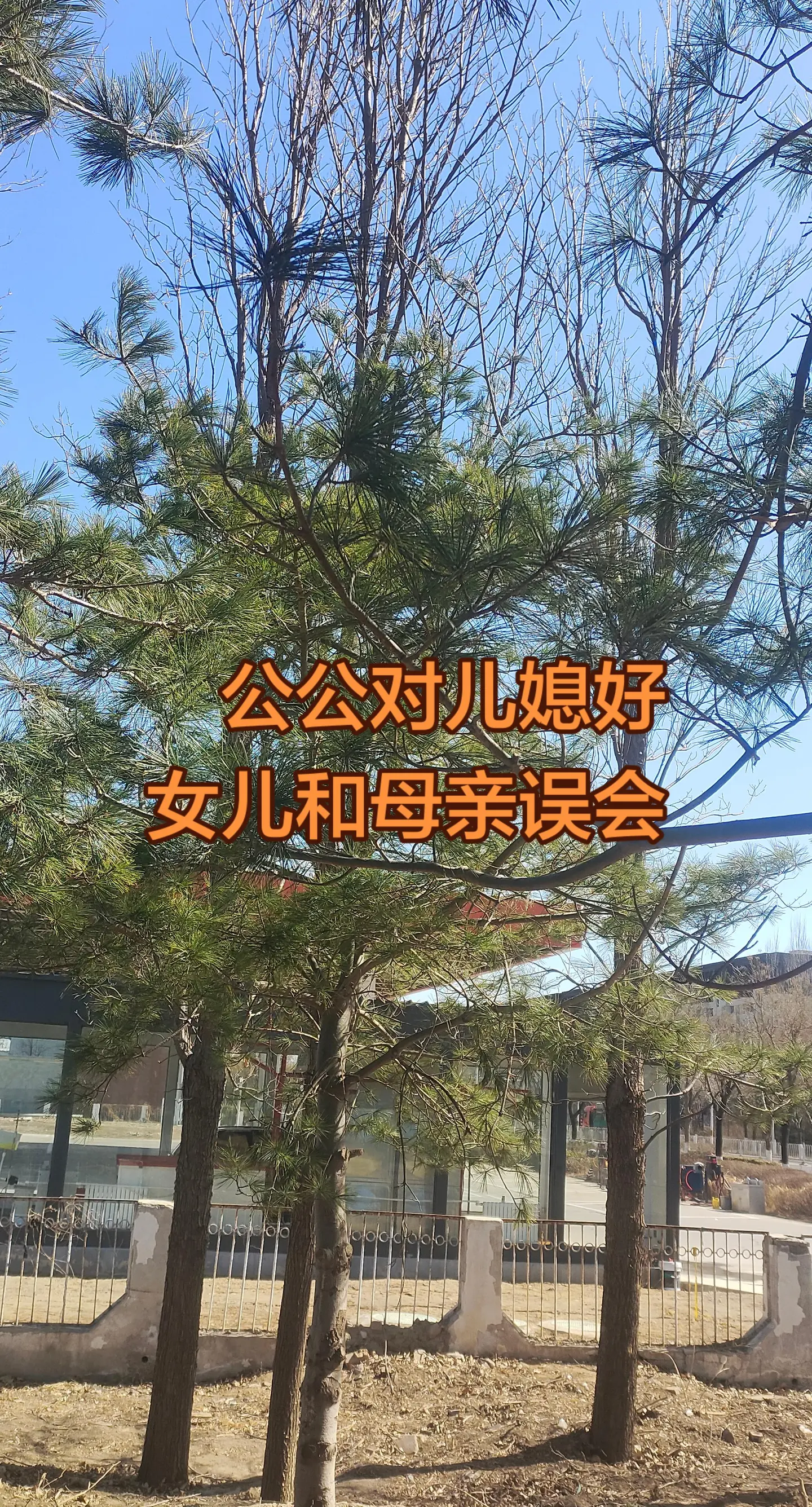 秋季树木管理