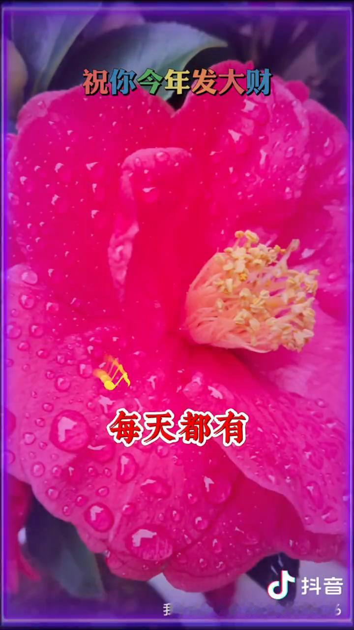 祝你今年发大财，祝你好运连连，祝你万事如意，发大财，每天都有幸福的气派，祝你凤风