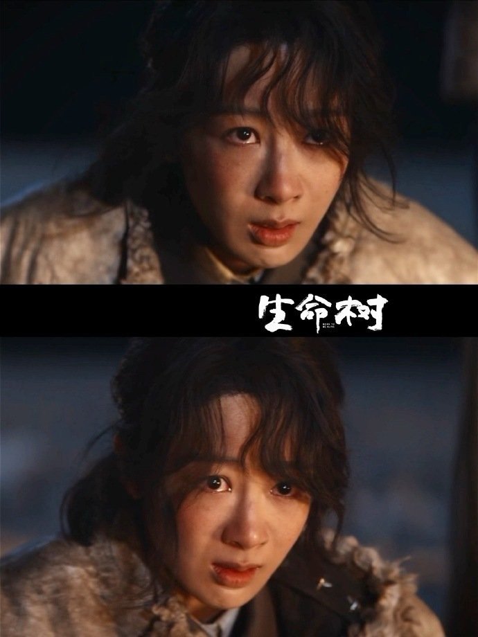 杨紫微表情传递出角色的破碎感生命树曲线 杨紫微表情传递出角色的破碎感，紫妹的演技