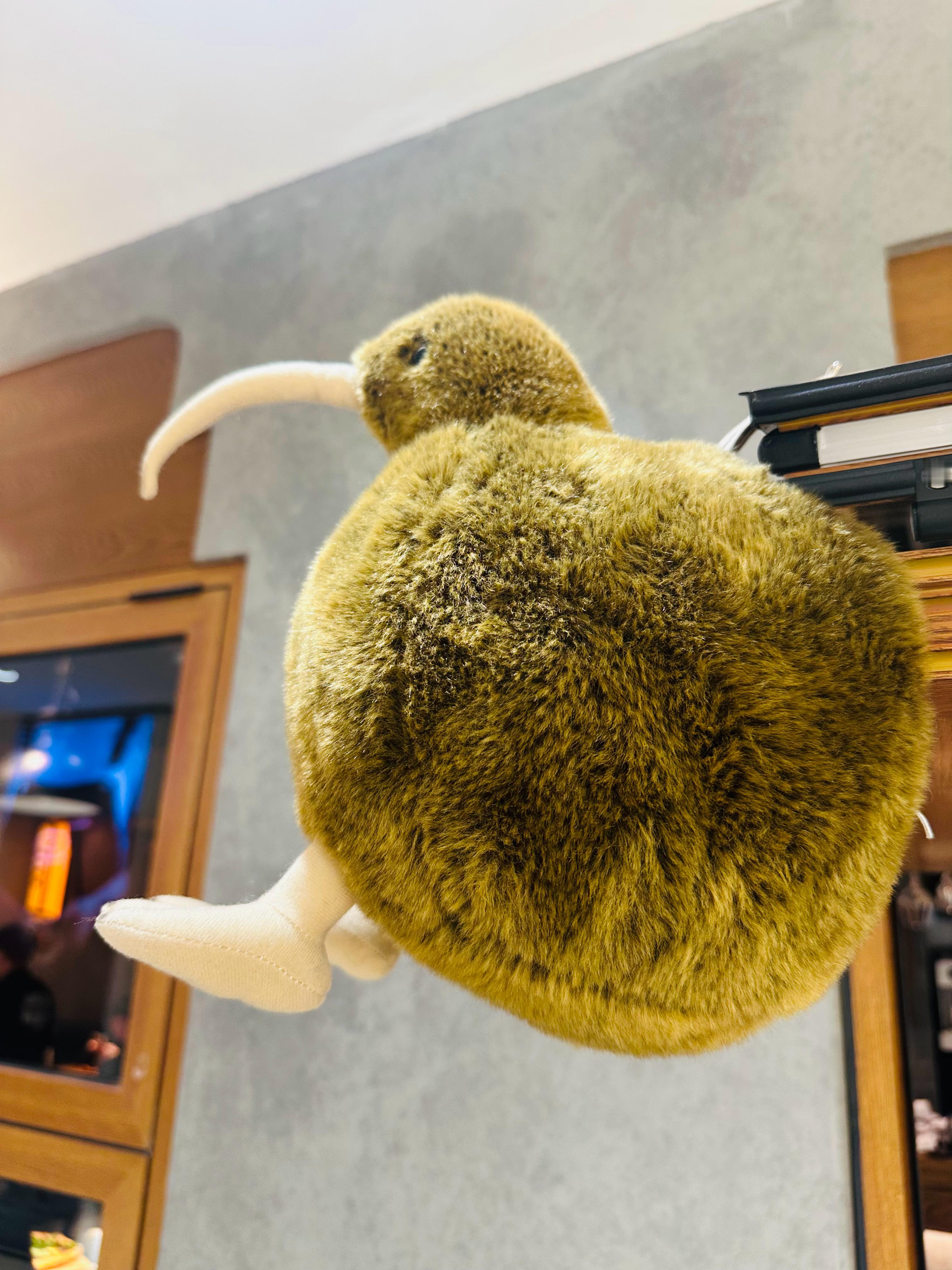 我们永远无法感激伤害，更不用感激伤害我的人，对那些伤害过我们的人，我们最需要在心