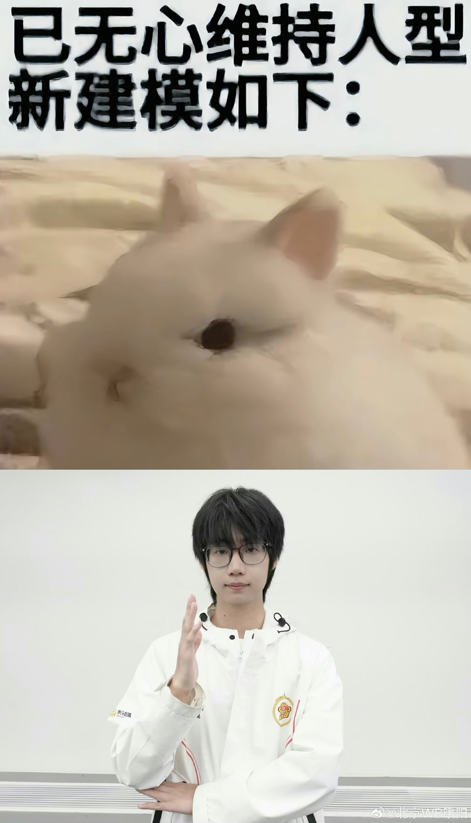 我家小宝贝 