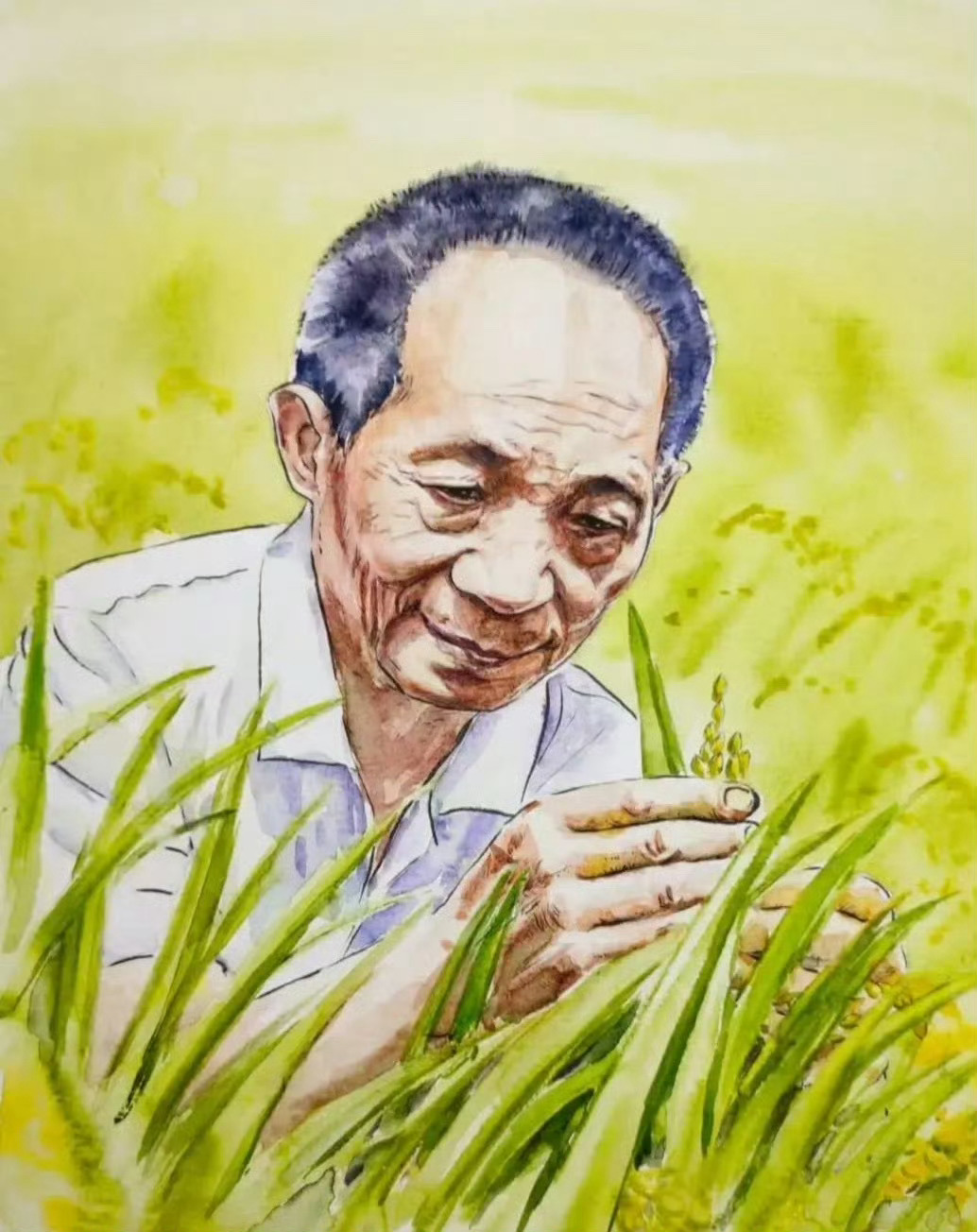 他是让国人不再饿肚子的神！中国水稻之父——袁隆平诞辰96周年！ ​​​