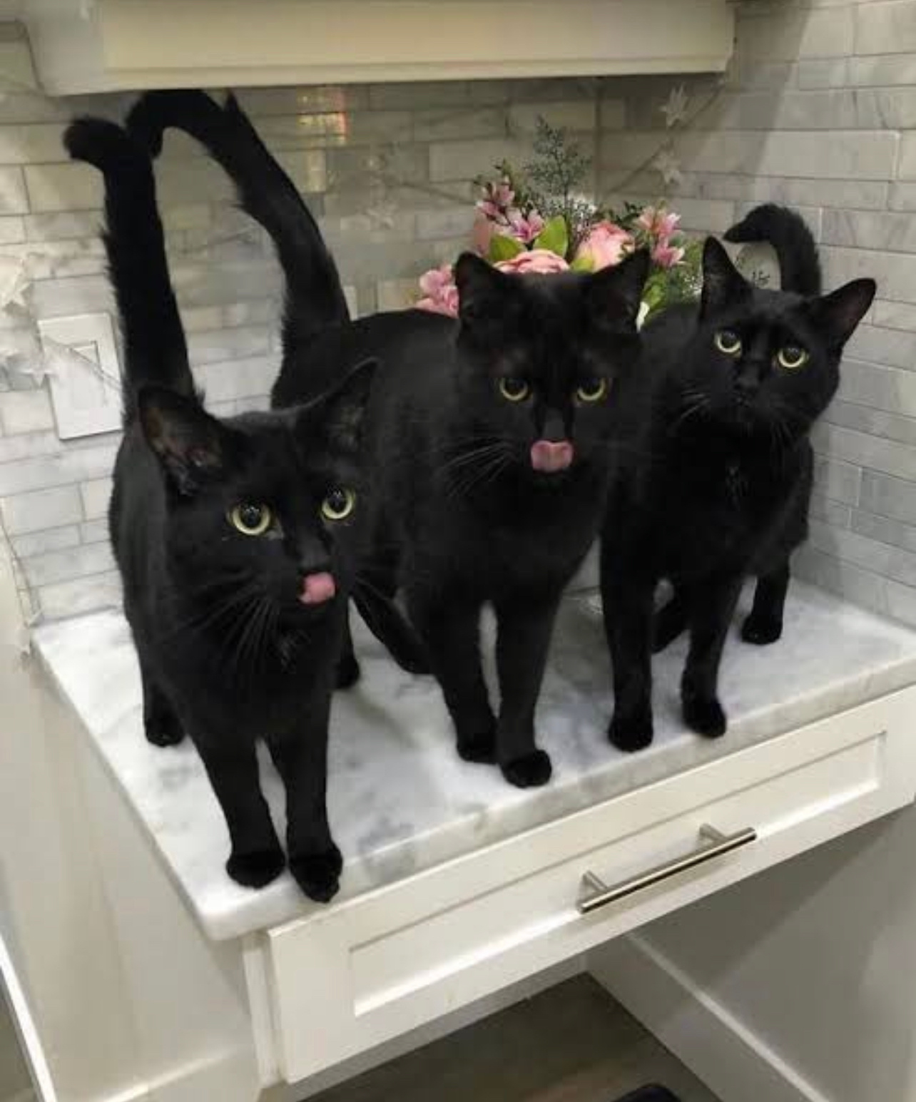 👅👅 ​​​