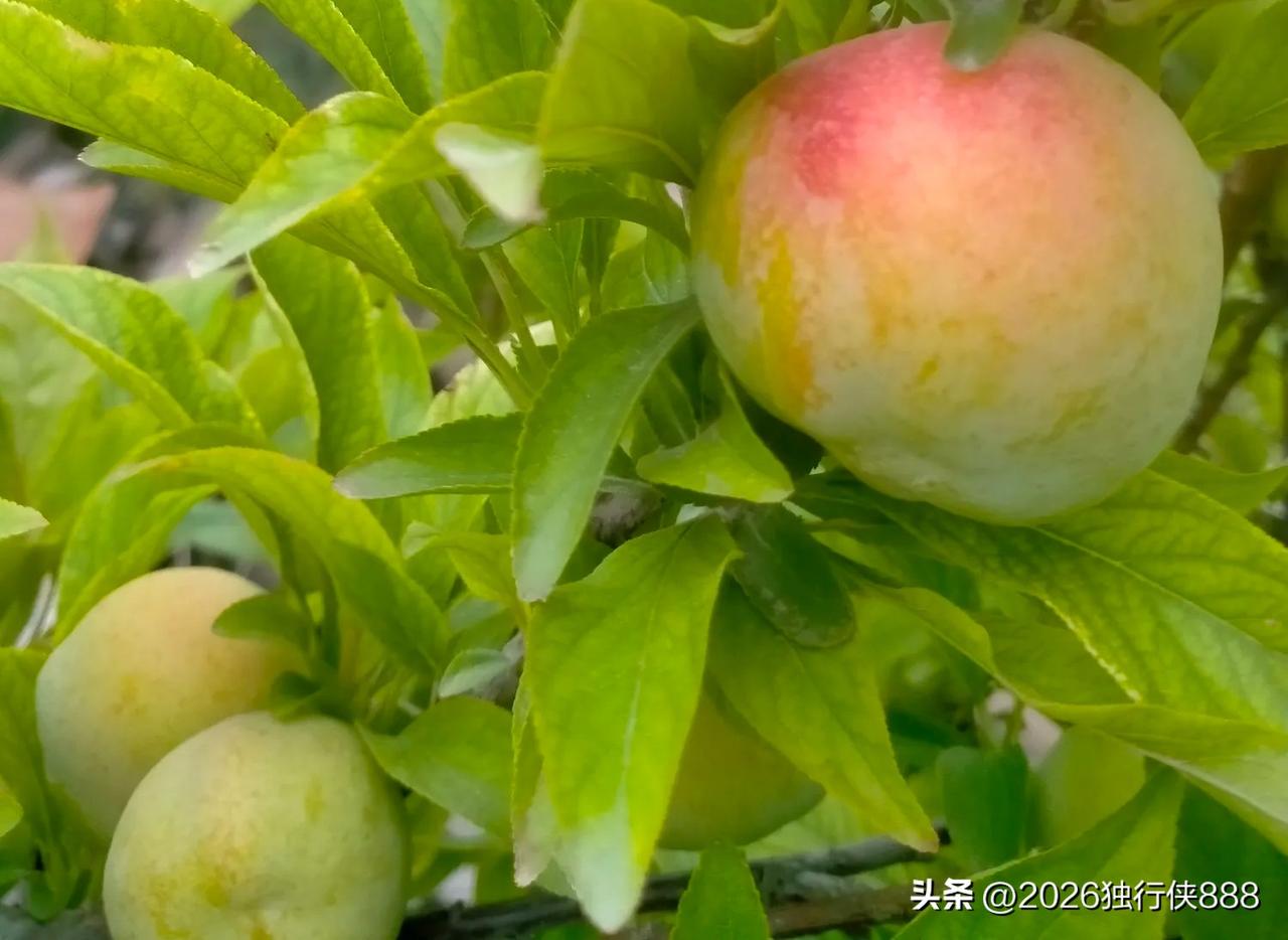 药店店员打电话给顾客来买药，这个要怎么开口啊？

下午拜访客户，路过原来上班的药