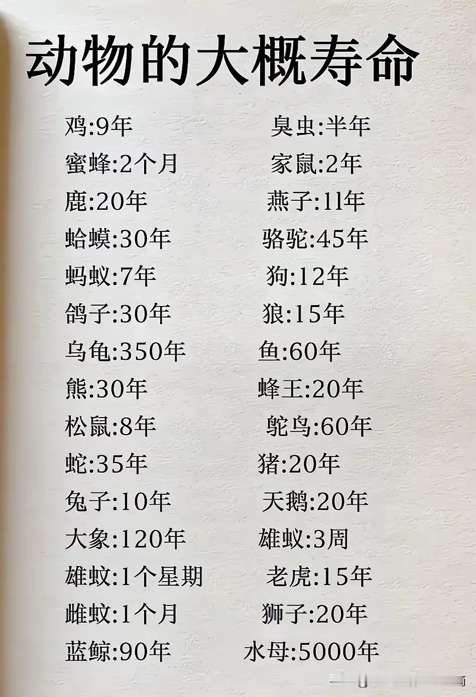 你知道动物的寿命吗？有些动物的生命是非常短暂的，我们一定要好好爱它们，毕竟它们也