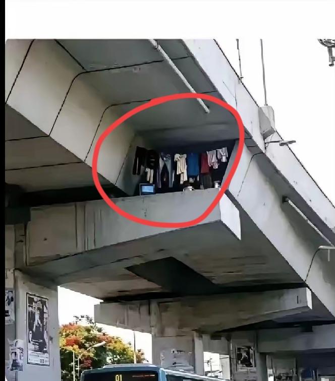 真是个人才，我搞不清楚他是如何上去的，是从桥顶往下吊还是从桥底搭梯子上去？
  