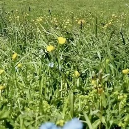 🌾阳光信用🌾每日一善🌾“爱人者，人恒爱之；敬人者，人恒敬之。”善良是相互的