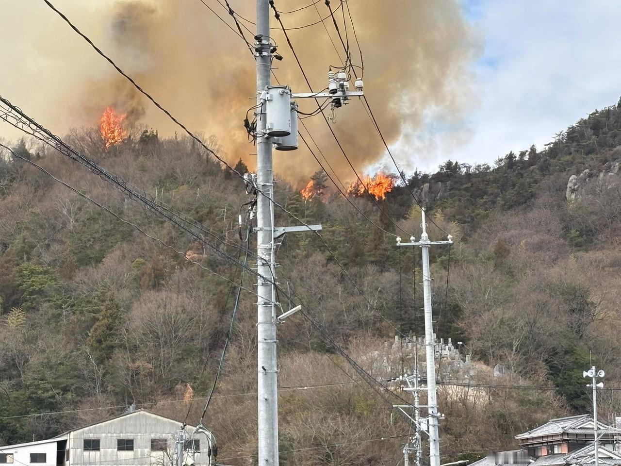 日本广岛县江田岛市在今日（1月17日）上午，发生了山林大火。虽然消防人员收到消息