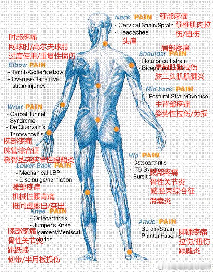 整理盘点贴——从头到脚损伤汇总图，有疼痛损伤的朋友可以对照着看看，这下全乎了[苦