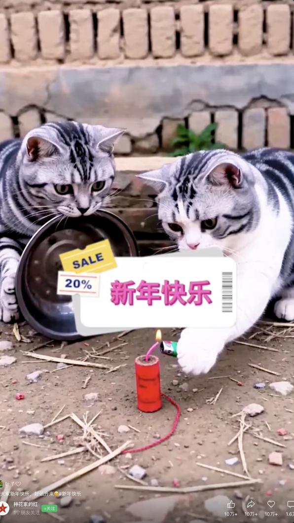 2026新年快乐-两小猫点鞭炮

视频链接：