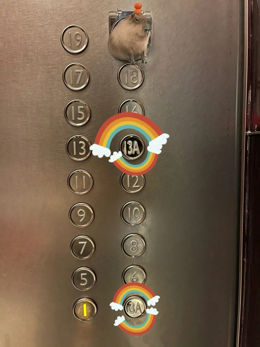 公司已经敏感到这种地步了吗