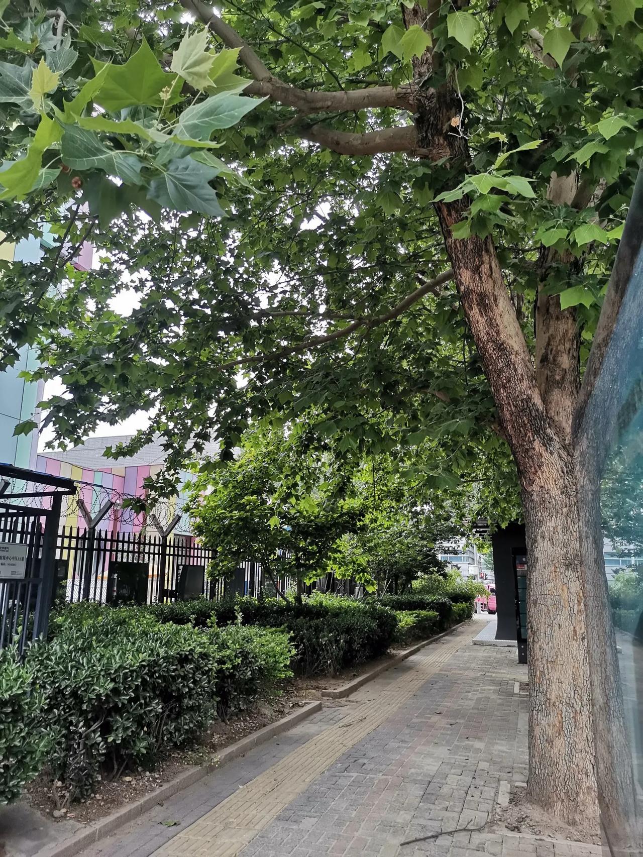 建议今日头条设一个“妇女之友”一类的专题或栏目，把女性私密的话题放进去。当然，这