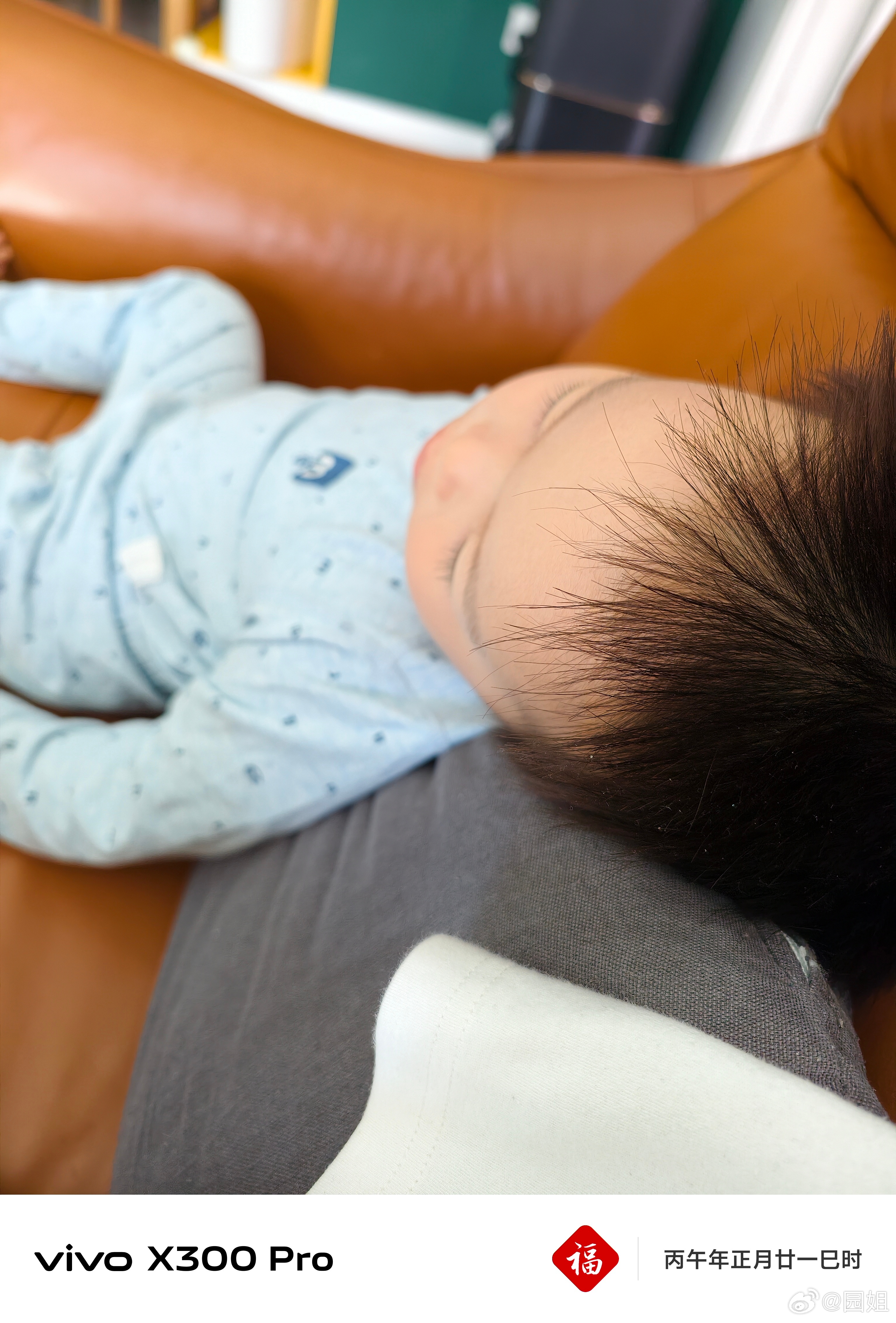 海胆又病了上吐下泻