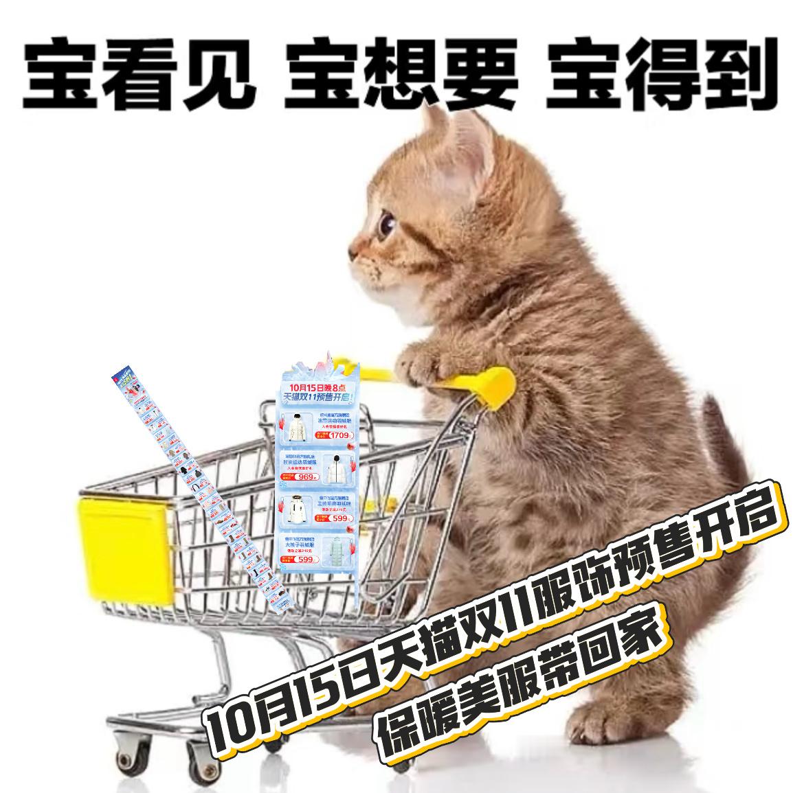 天猫双11降温服饰低至5折 今晚8点天猫双11预售付定 天猫双11才是真优惠 气