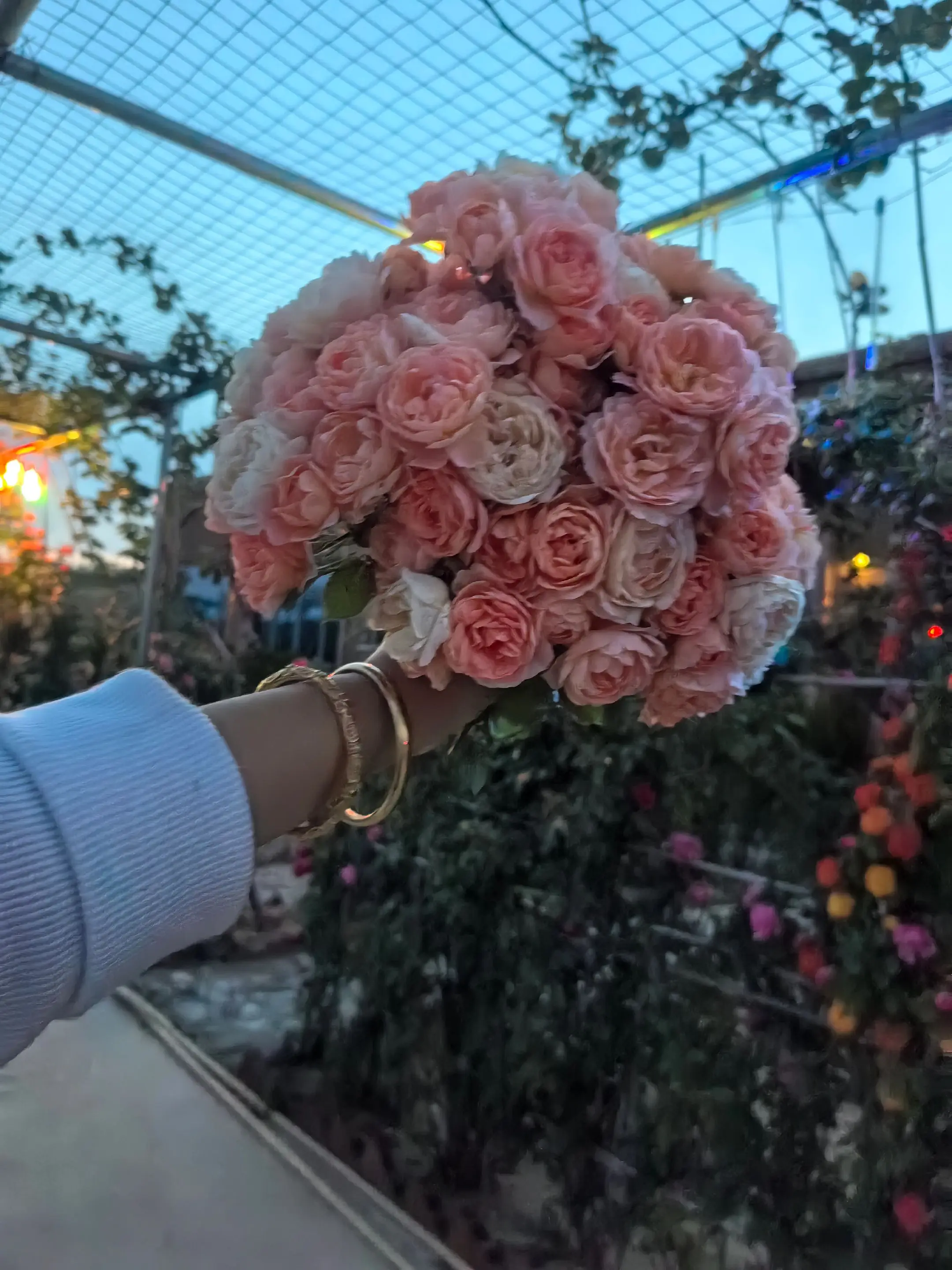 在这一方小天地，静享与鲜花相伴的悠然，惬意无比🌼 生活的美好，大抵如...