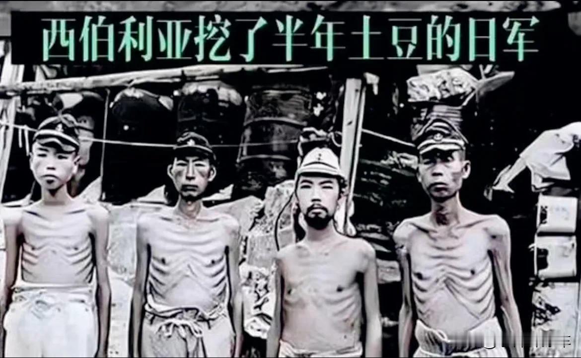 二战中消灭日军最多的国家
第一竟然不是中国
8、朝鲜：歼灭2.6万 
【数量少，