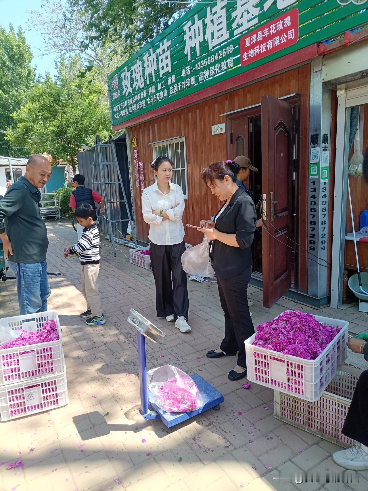 今天入夏，从此今年再无春天，美好舒服的日子总是这么短。一想到过夏天心里就犯怵，无