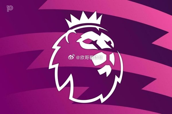 英超联赛委员会已向19支英超球队保证，曼城将在本赛季末因扣分而降级至英冠联赛。该