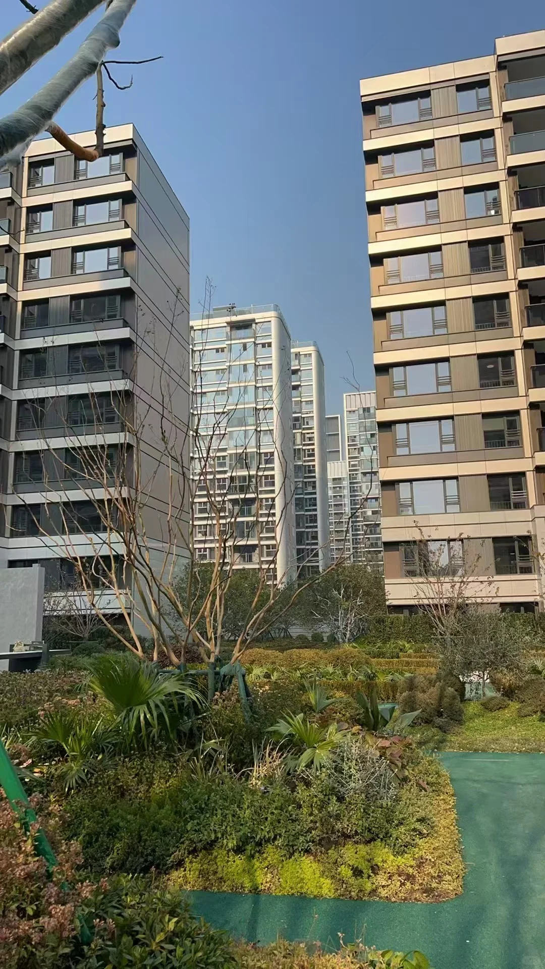 呃，和樾天汇这个绿毯