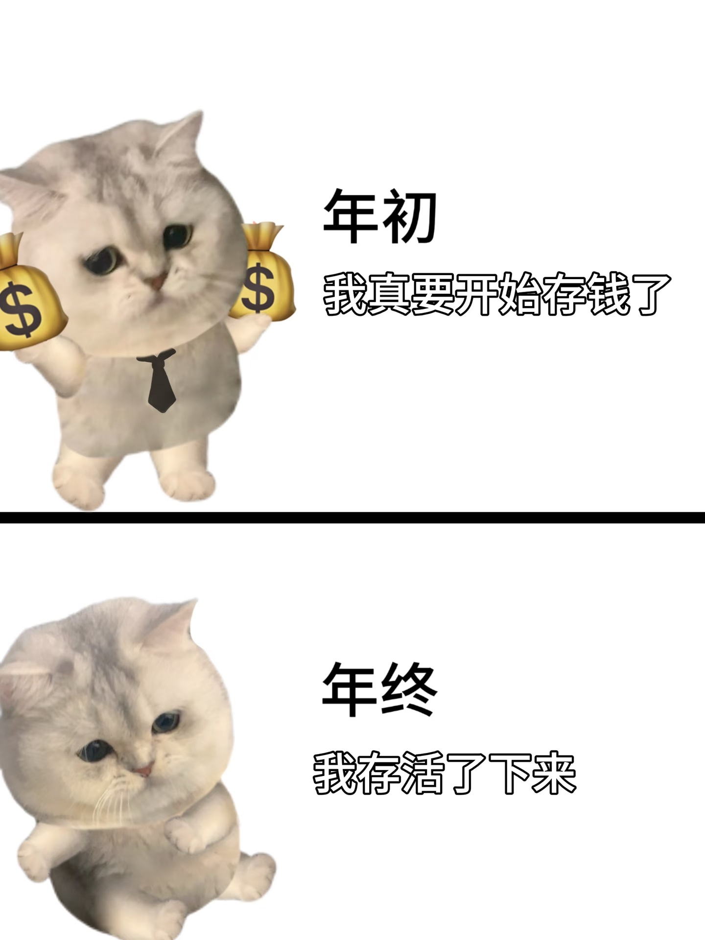 大学生有自己的年终奖我毕业后，所有大学生的专属福利都吻了上来。熬过考试周，是可以