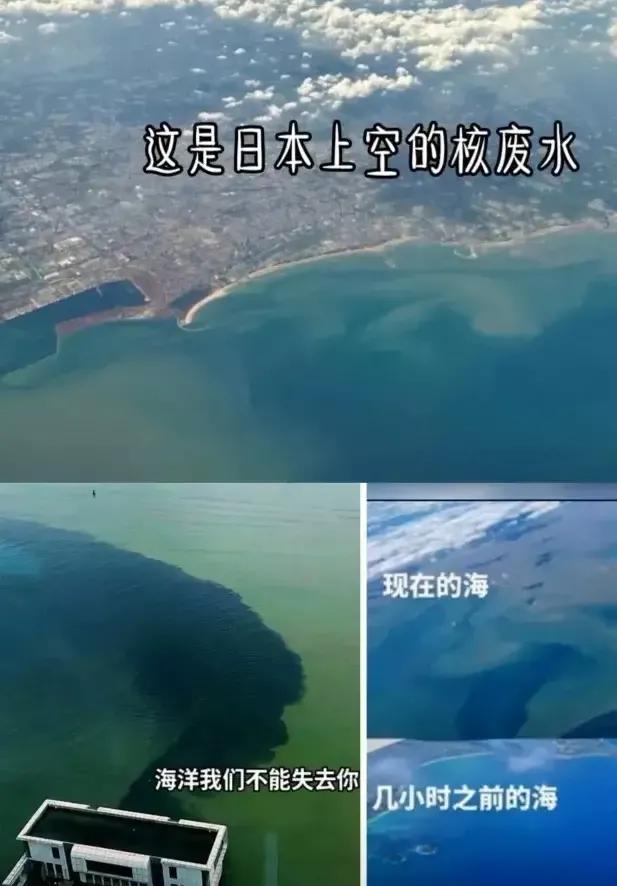 日本政府的底气在哪里？
国际原子能机构声明：日本先进的液体处理系统对人和环境的放