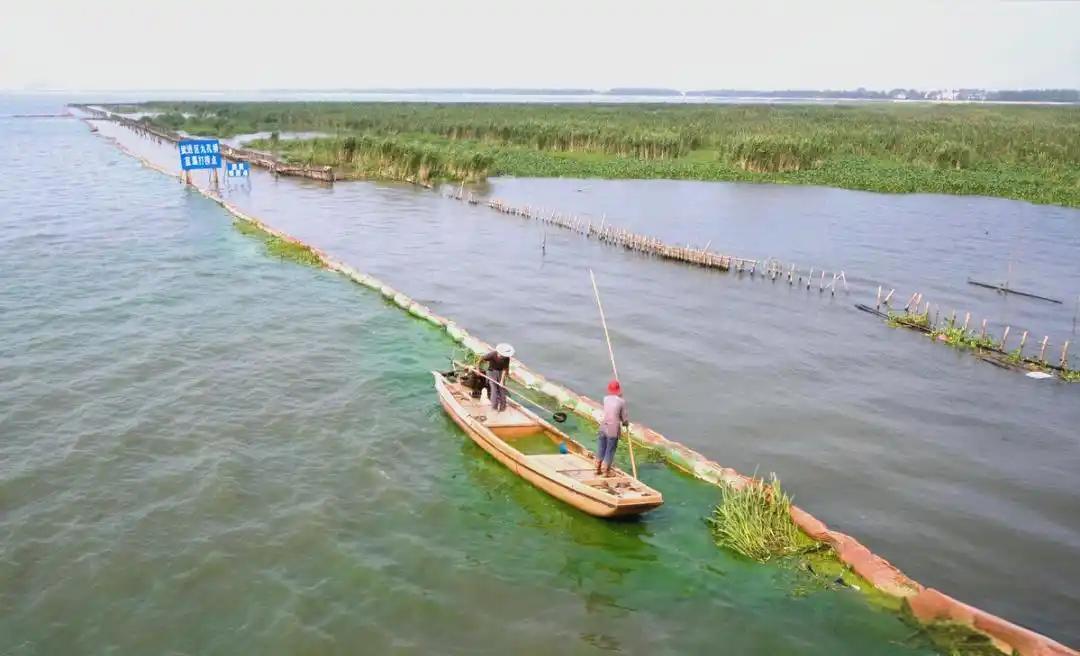 你敢相信吗？太湖底下有2.3米厚的淤泥，而上面的水深还不到1.9米。说白了，过去