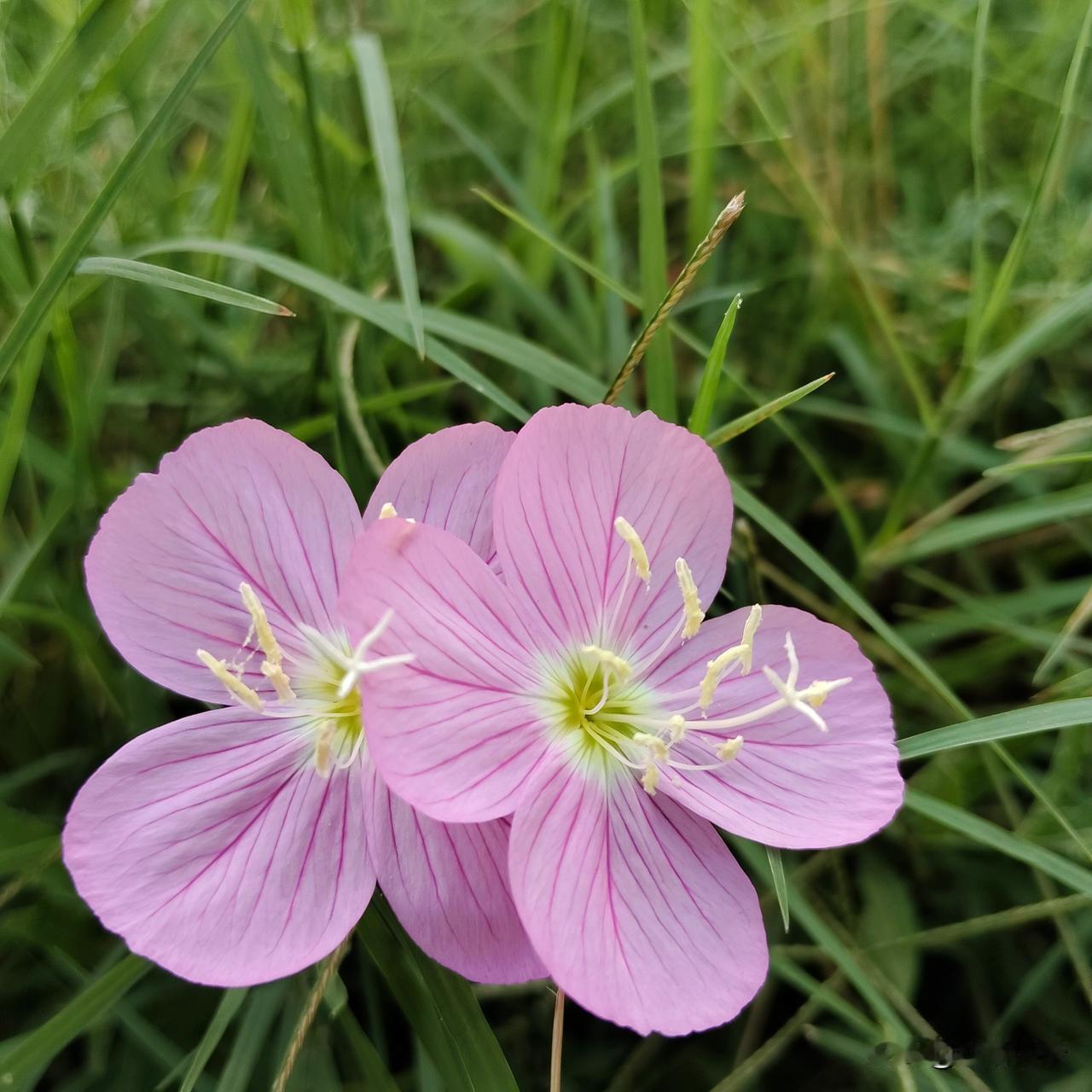 夏日生活打卡季