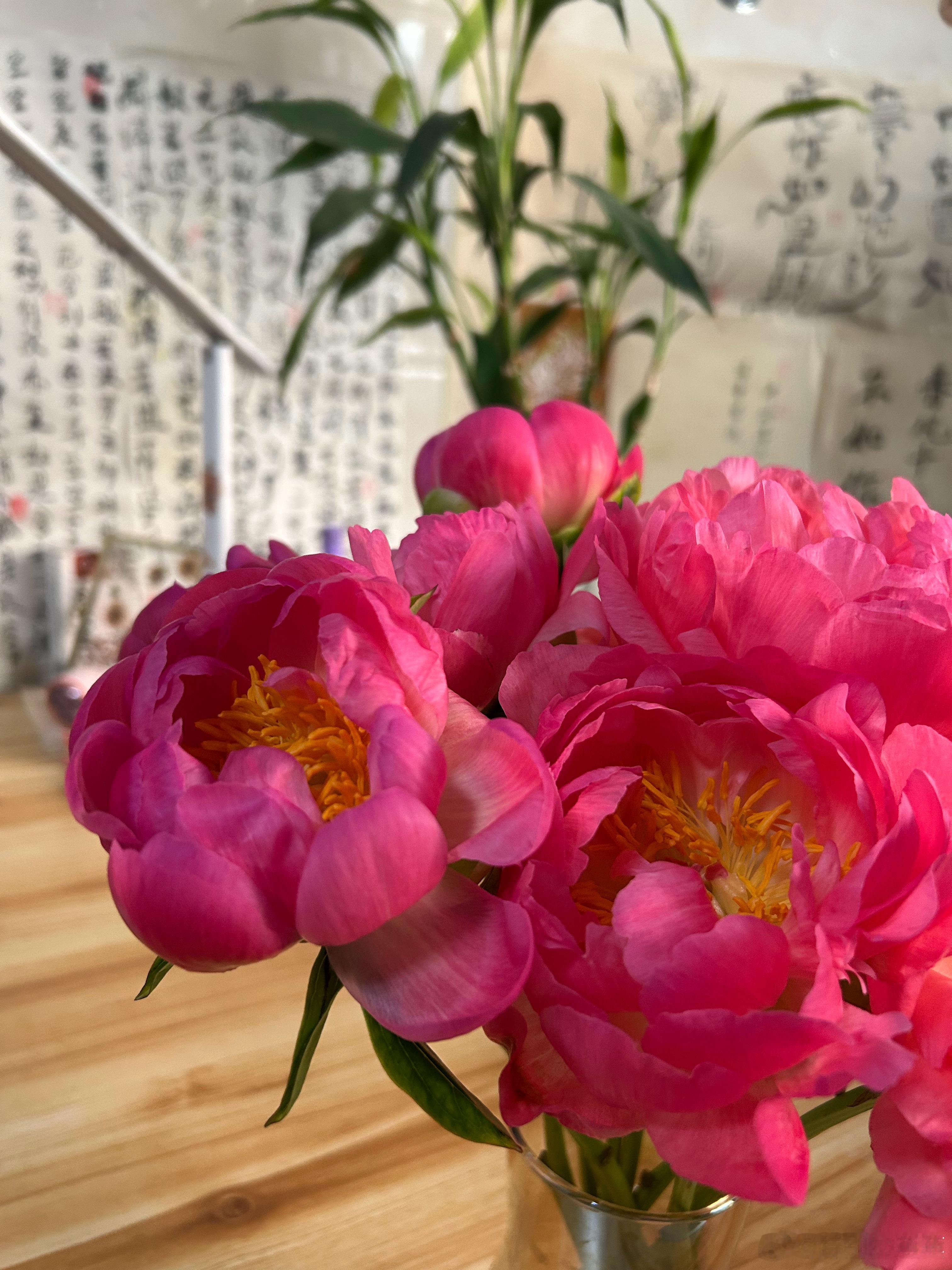家庭主理人真心不好当！先不说别的，光是买菜这一项就已经让我头昏了！今年我们家要缩