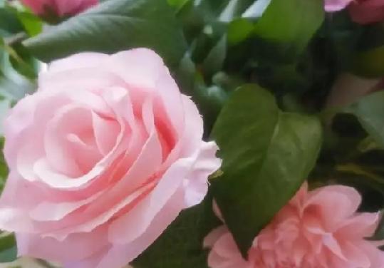 我们单位有个同事大姐
50多了，活的特别分裂！
让人无法理解。她能够一出手就是1