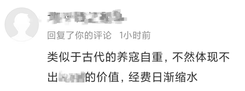 网友的分析，养寇自重。你们觉得有道理吗 ？ 