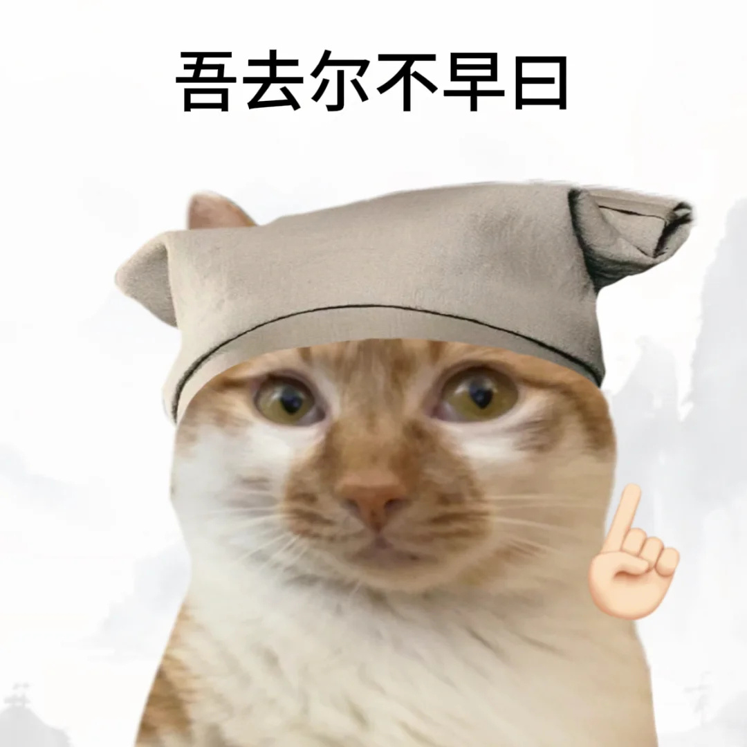曝迪丽热巴与嘉行到期不续嗯终于上了个我爱看的热搜了