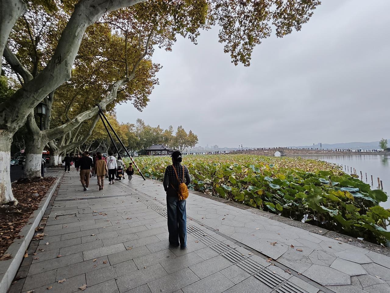 初冬的断桥依然热闹非凡，寒冷的北风吹动着游客的脸庞，断桥上的善男信女们是否心似冰
