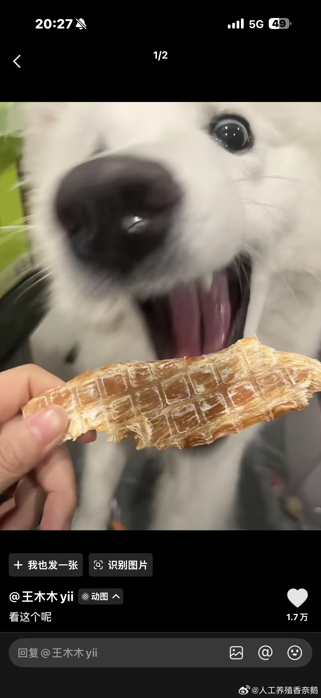 晨晨看见一根葱： 